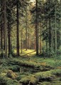Bosque de coníferas día soleado 1895 paisaje clásico Ivan Ivanovich